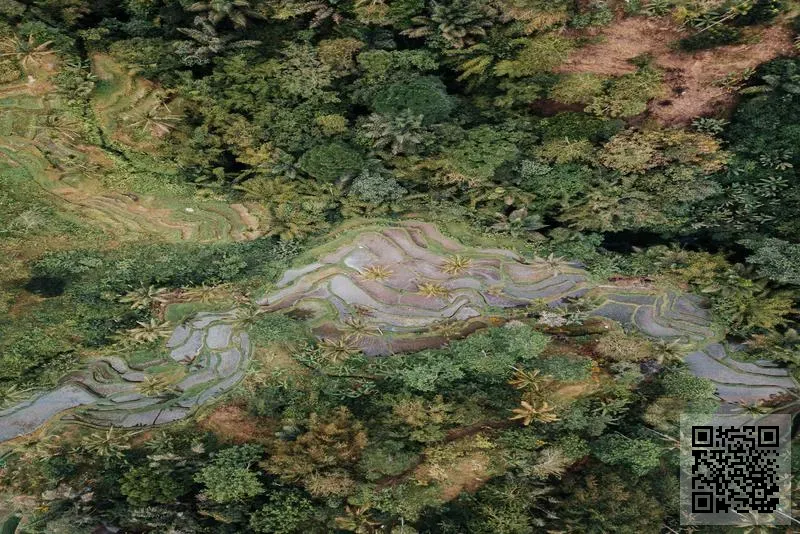 薩爾科技有限公司