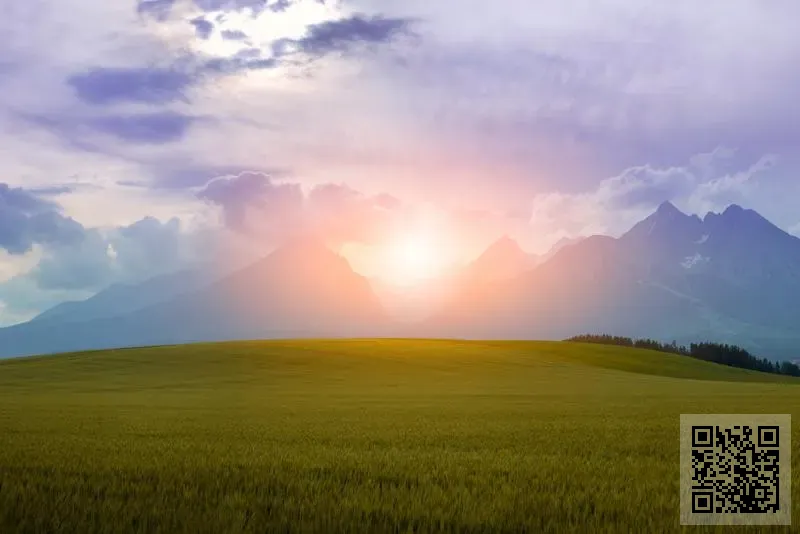 中清國際管理有限公司