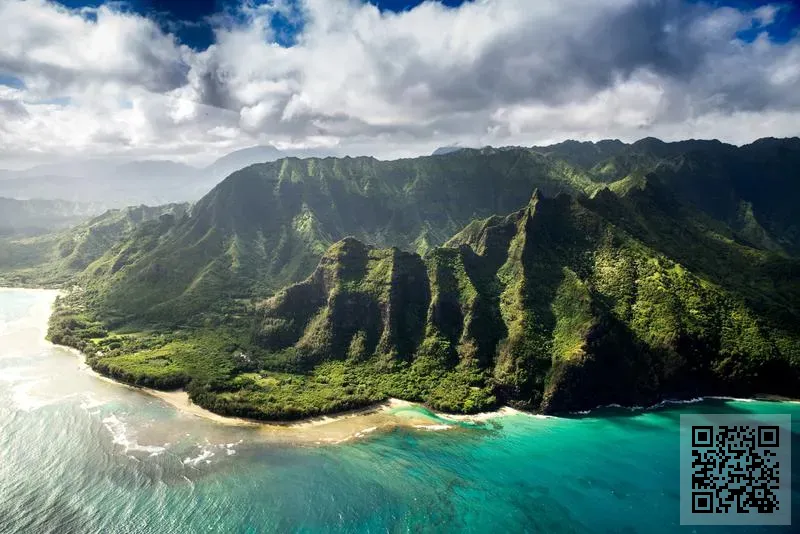 Ookus International Company Limited