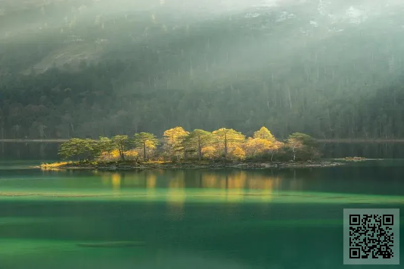 浙江永興進出口有限公司