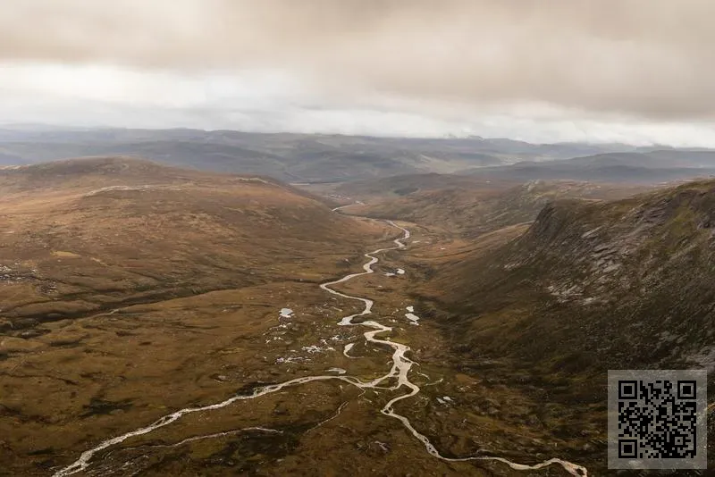 日信工程(香港)有限公司