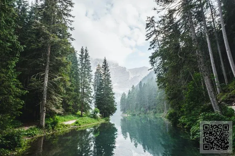 科穀亞太科技有限公司