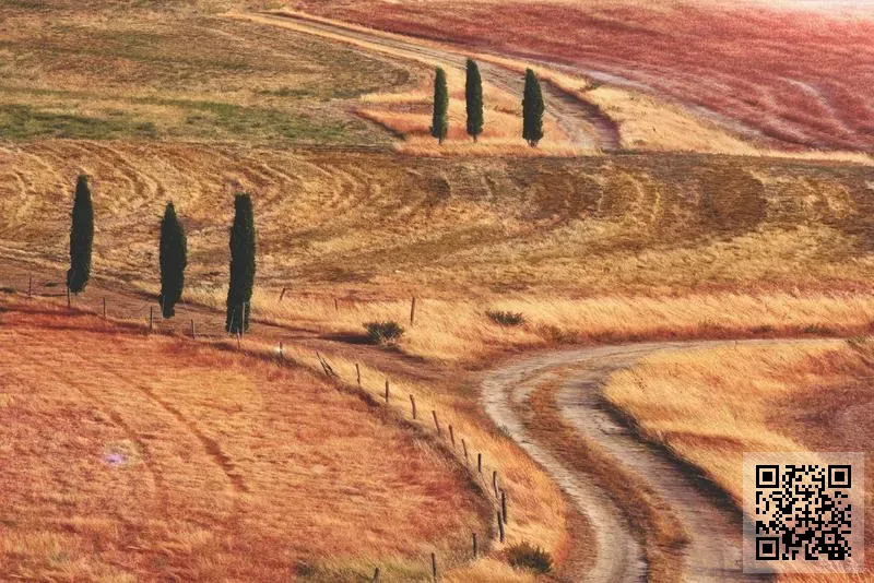 Cohesion Toolings (HK) Co., Limited