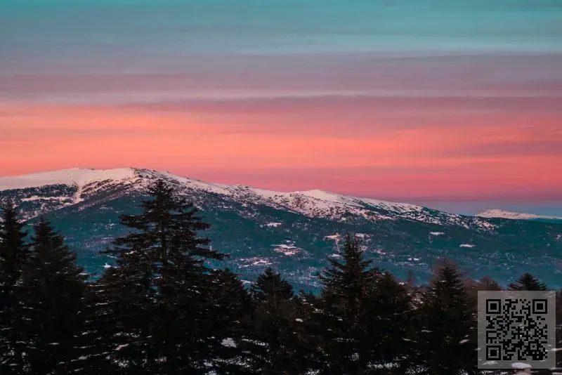 宣徽集團(香港)有限公司