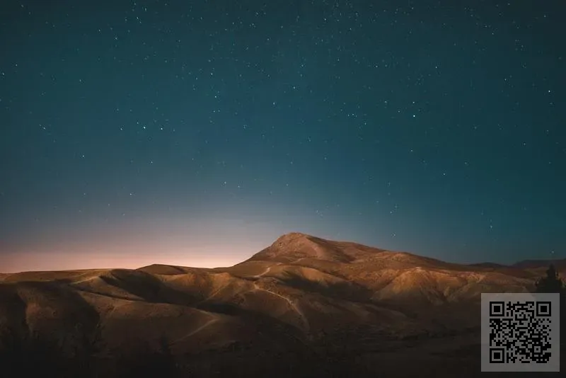 期間限定有限公司