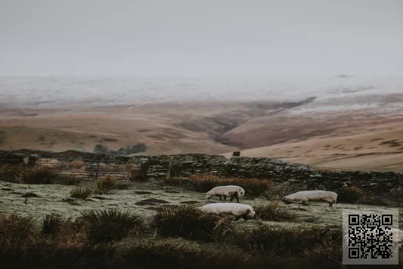 東方新利有限公司