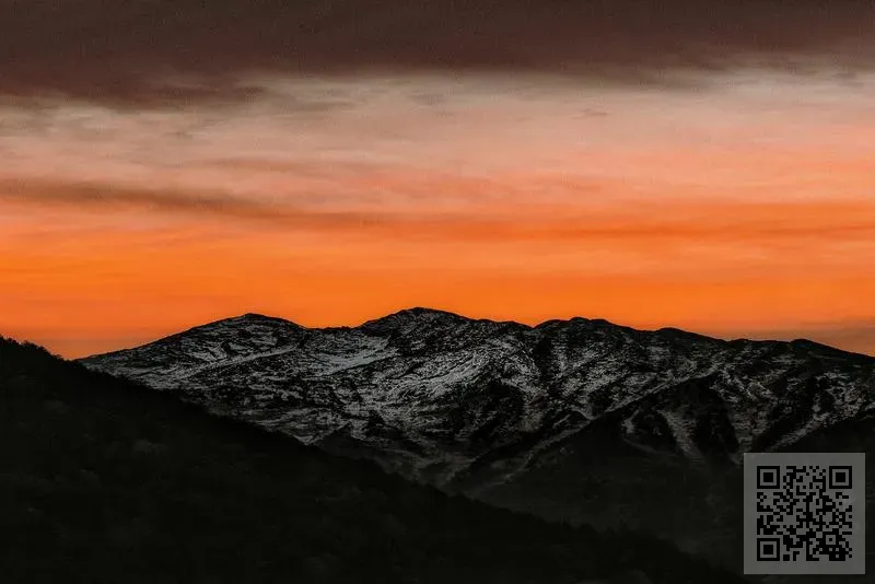 永高工程服務有限公司