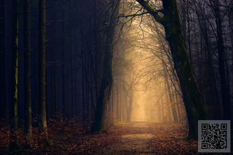 Weijiao Technologies HK Limited