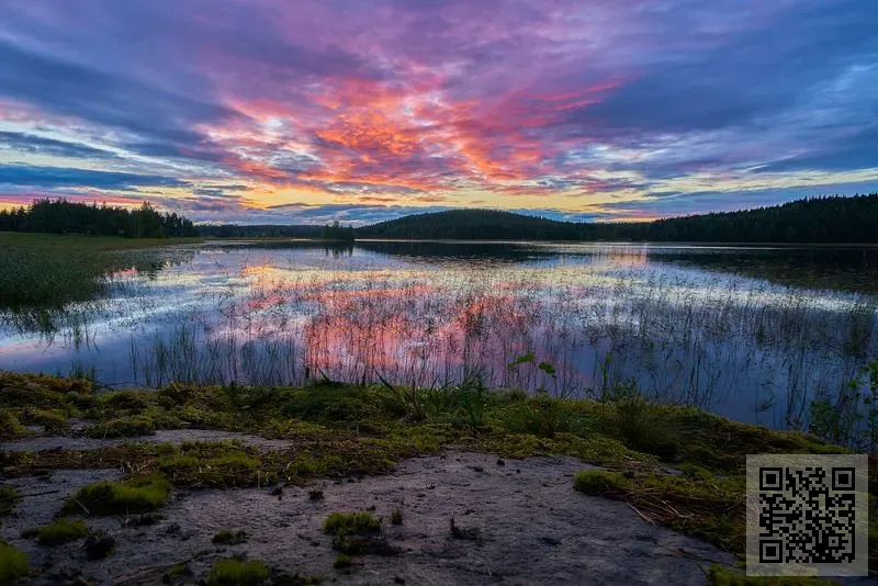 ALFA TRADE AND LOGISTICS COMPANY LIMITED