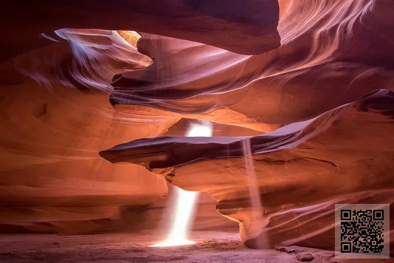 大一戶外工程有限公司