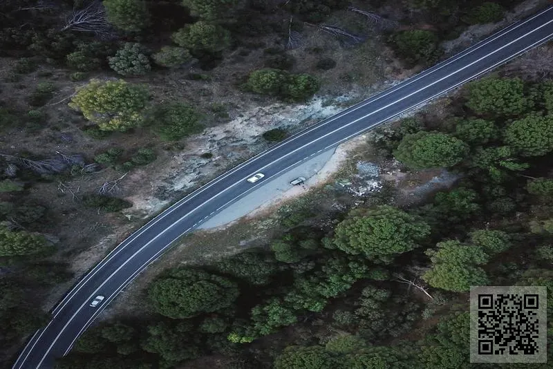 豐越貿易有限公司