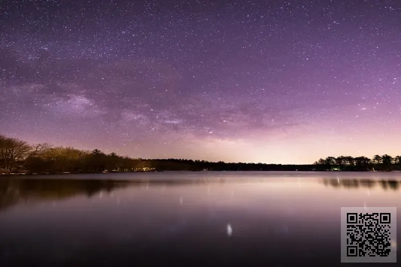 西西科技有限公司