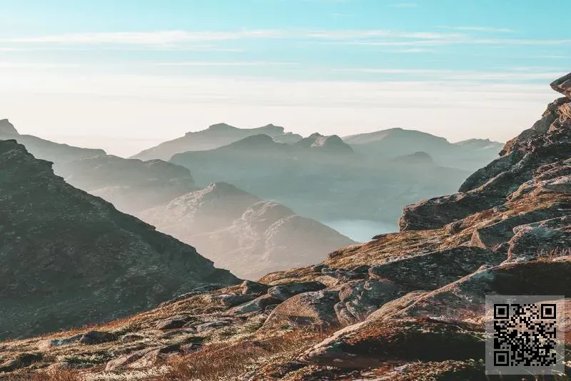 JW Racing Development Limited