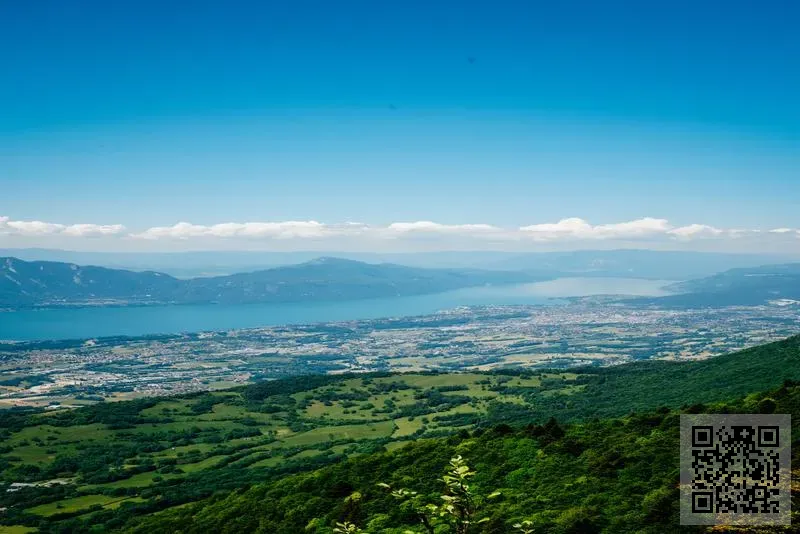 宏林貿易有限公司