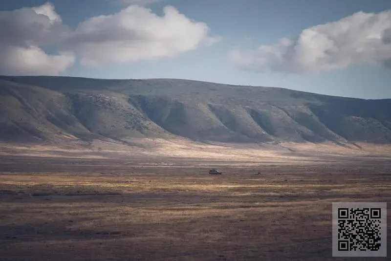 共創商機大聯盟有限公司