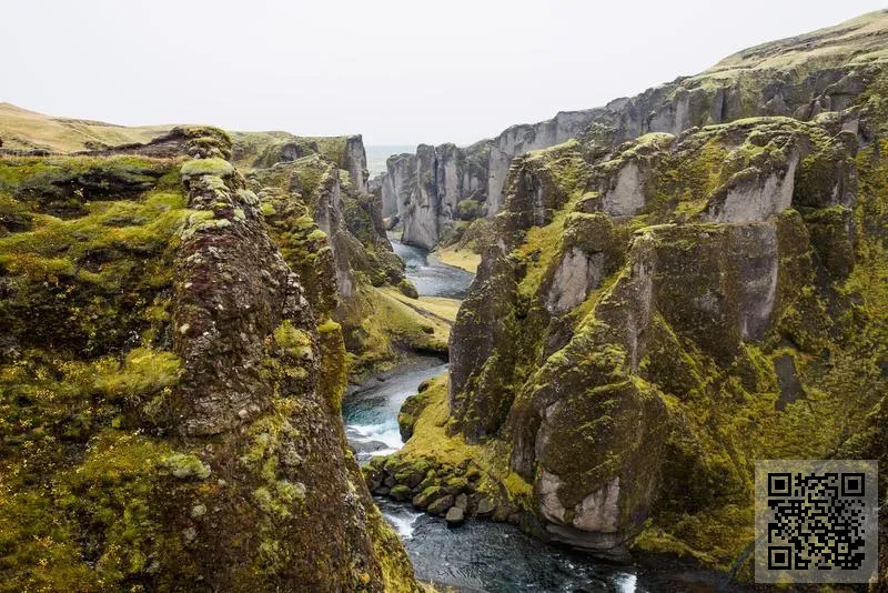香港九生宸家具有限公司