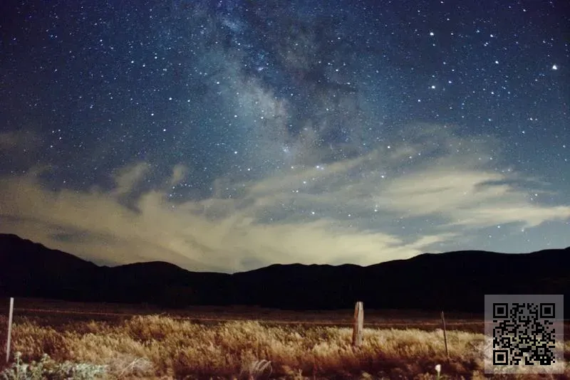 天峻批發有限公司