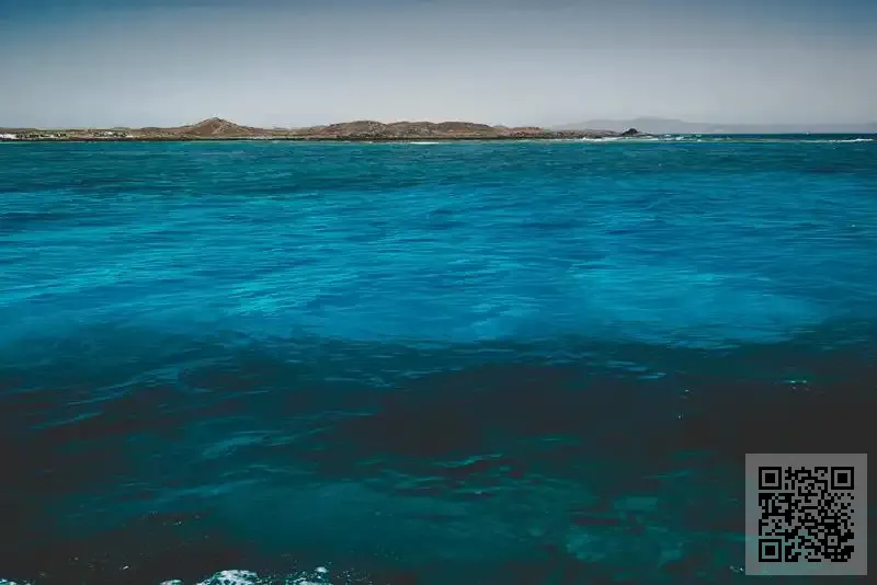 華而特貿易有限公司